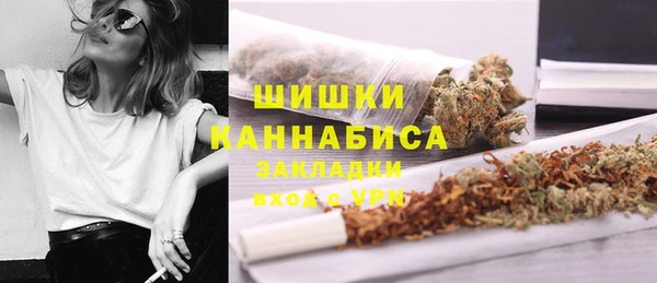стаф Козельск
