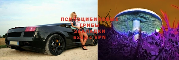 стаф Козельск