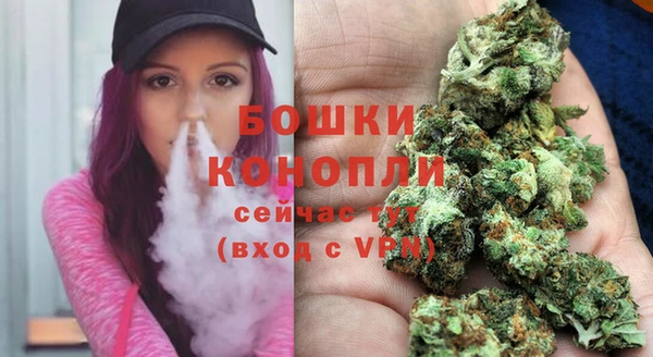 стаф Козельск