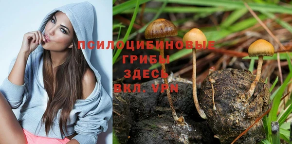 a pvp Кинешма
