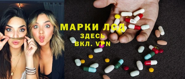 стаф Козельск